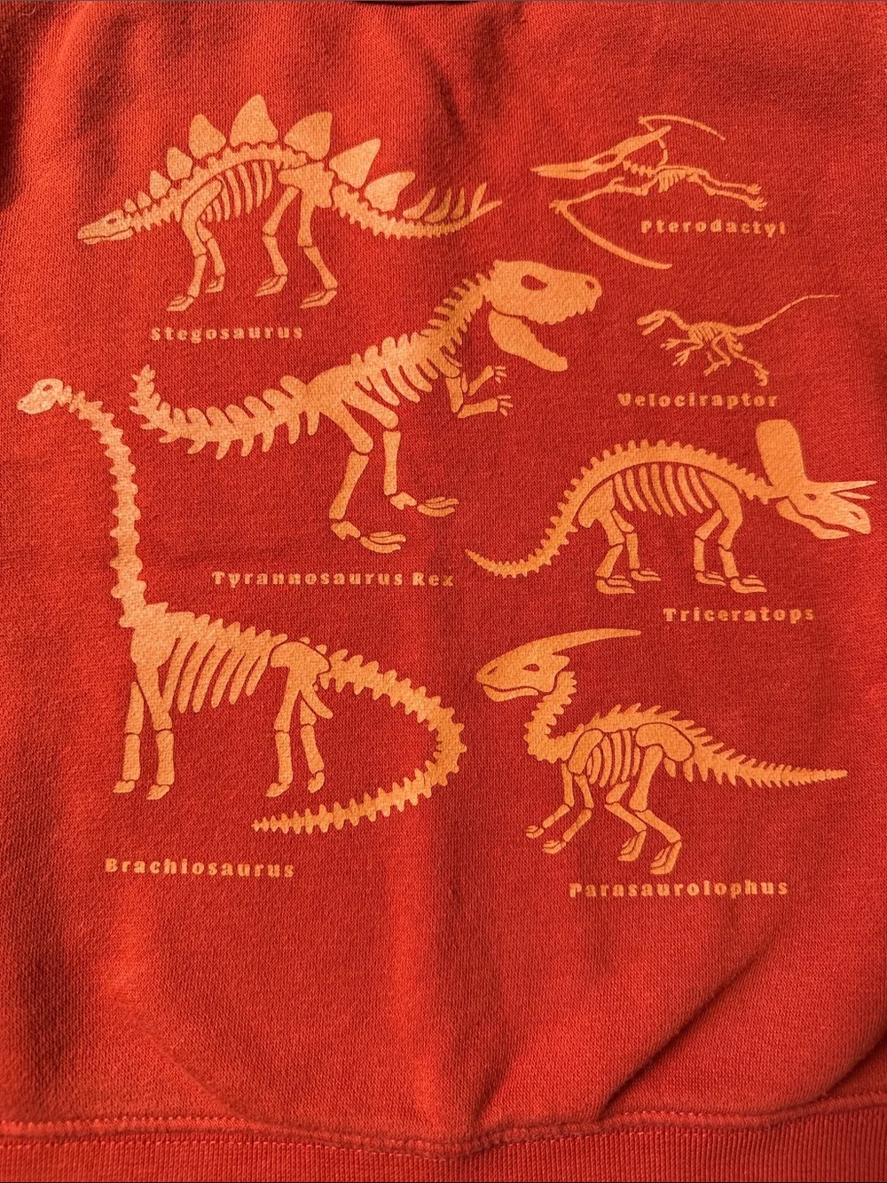 GAP Orange Kids' Dinosaur Skeleton Sweatshirt Size 5